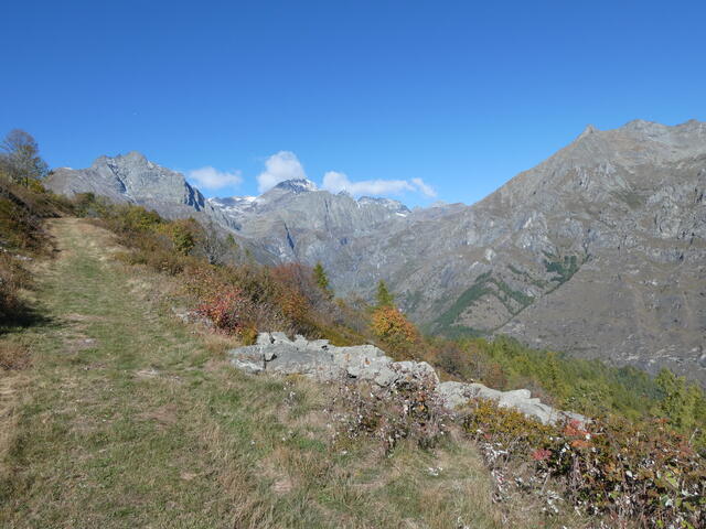 la stradina erbosa per Punta Tulmet