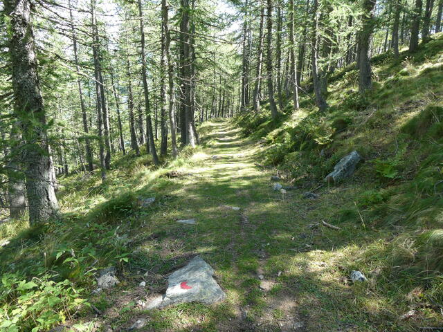 parte iniziale del sentiero che scende dalle Gr. Marzo