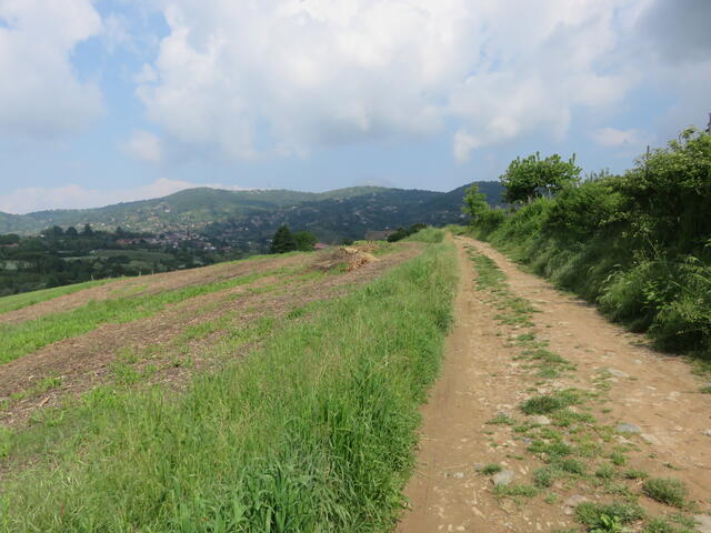 dorsale verso Pecetto T.se